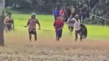সালথায় জমি নিয়ে দুই পক্ষের সংঘর্ষ, আহত ১০