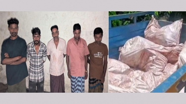 জামালপুরে ১৬ বস্তা ঘোড়ার মাংসসহ আটক ৫, পিকআপ জব্দ