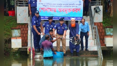 নাটোরে অভ্যন্তরীণ জলাশয়ে দুই টন মাছের পোনা অবমুক্তকরণ শুরু