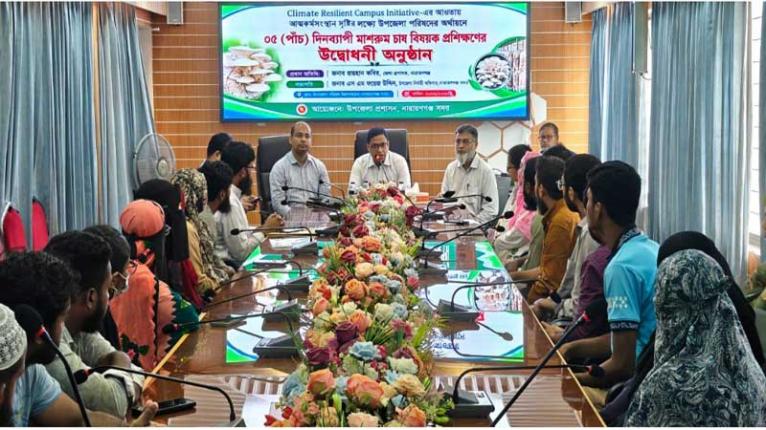 আত্মকর্মসংস্থানের নতুন সম্ভাবনা: নারায়ণগঞ্জ সদরে মাশরুম চাষ প্রশিক্ষণ শুরু