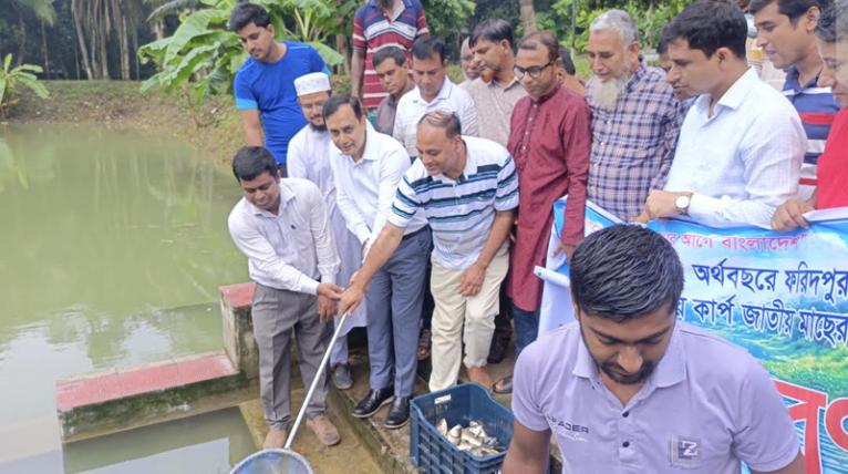 মধুখালীতে উন্মুক্ত ও প্রাতিষ্ঠানিক জলাশয়ে কার্পজাতীয় মাছের পোনা অবমুক্ত