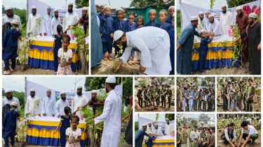 নগরকান্দায় আত-তোহফা ইসলামিক একাডেমির উদ্যোগে বৃক্ষরোপণ ও বৃক্ষ বিতরণ কর্মসূচি অনুষ্ঠিত