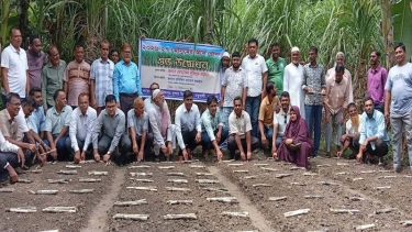 ফরিদপুর চিনিকলে ২০২৬-২৭ আখ রোপণ মৌসুমের শুভ উদ্বোধন