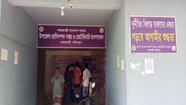 ১১ পদের ৮টিই খালি অফিস সহায়ক পদ শূন্য ২০ বছর বোয়ালমারী পশু হাসপাতাল