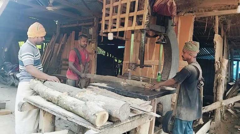 সরিষাবাড়ীতে দুই দিবসে চাঁদা দিয়েই চলছে অবৈধ করাতকল,লাইসেন্স চান ভুক্তভোগী মালিকেরা