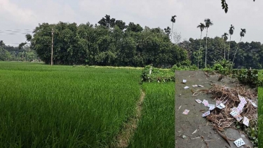 সরিষাবাড়ীতে আসাদের বাঁশঝাড়ে বসে নিত্যদিনের জুয়ার আসর, অতিষ্ঠ এলাকাবাসী