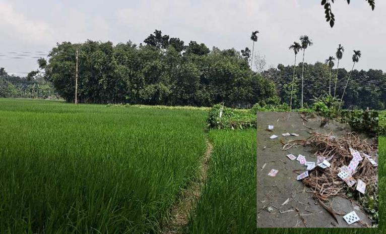 সরিষাবাড়ীতে আসাদের বাঁশঝাড়ে বসে নিত্যদিনের জুয়ার আসর, অতিষ্ঠ এলাকাবাসী