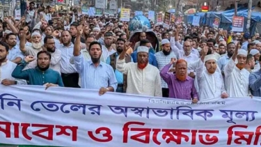 সরকারকে সংখ্যাগরিষ্ঠতার ভূতে ধরেছে: গোলাম পরওয়ার