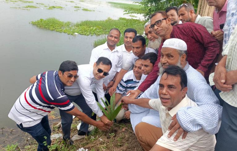 মধুখালীতে ২ কিলোমিটার সড়কে তালগাছের চারা রোপণ