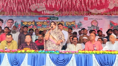 দেশের উন্নয়নের বীজ বিএনপিই বপন করেছে: পররাষ্ট্র প্রতিমন্ত্রী