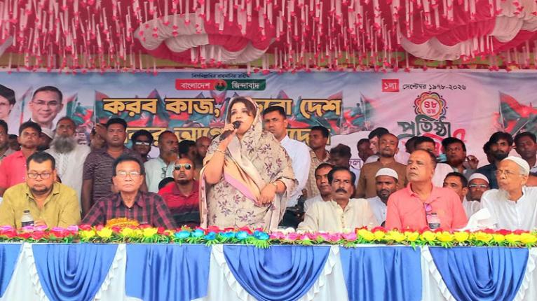 দেশের উন্নয়নের বীজ বিএনপিই বপন করেছে: পররাষ্ট্র প্রতিমন্ত্রী
