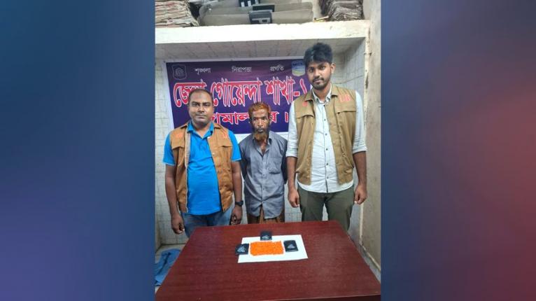 জামালপুরে ৬০০ পিস ইয়াবাসহ এক মাদক কারবারি গ্রেফতার