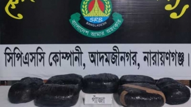 সোনারগাঁয়ে ঝোপ থেকে ১৪ কেজি গাঁজা উদ্ধার