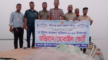 সদরপুরে মা ইলিশ রক্ষায় বিশেষ অভিযান: জাল ও ট্রলার জব্দ, ৩ জেলের কারাদণ্ড