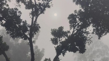 পঞ্চগড়ে তাপমাত্রা নামল ১৭ ডিগ্রিতে, বাড়ছে কুয়াশা