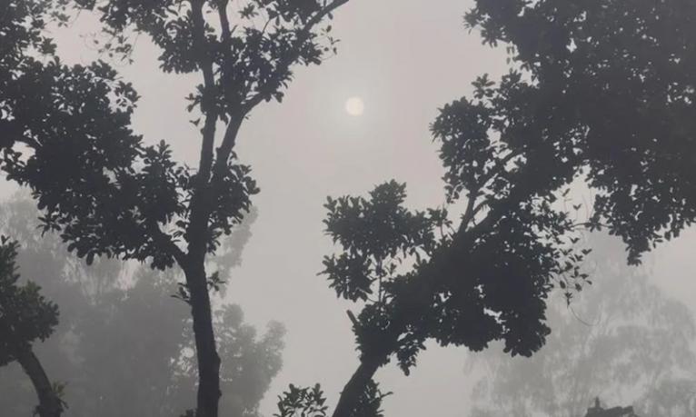 পঞ্চগড়ে তাপমাত্রা নামল ১৭ ডিগ্রিতে, বাড়ছে কুয়াশা
