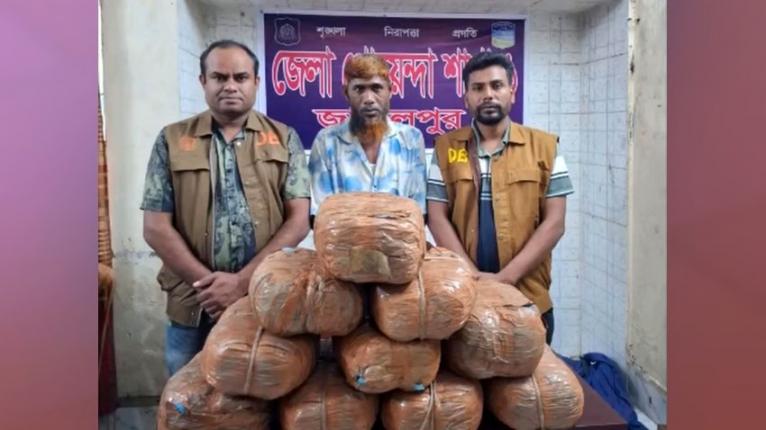 জামালপুরে ২০ কেজি গাঁজাসহ মাদক কারবারি গ্রেফতার