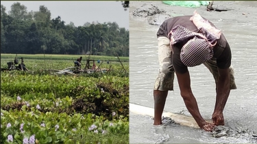 সরিষাবাড়ীতে ছাইতানি বিলে মাসব্যাপী ড্রেজিং, প্রশাসনের নীরবতায় ক্ষুব্ধ এলাকাবাসী